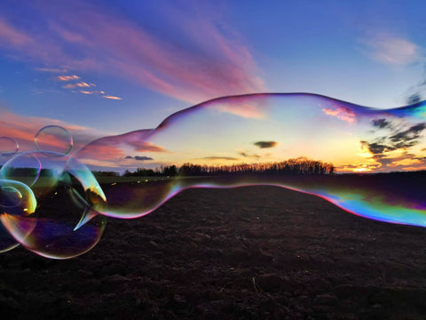 Dr Zigs Bubbles and Sunset