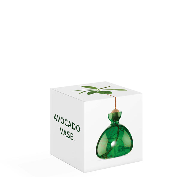 Digital Multi-Store Gift Cards  Avocado®, Reed+Gwen® & Hass® – Avocado  Green Mattress
