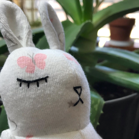 souvenir de petit lapin