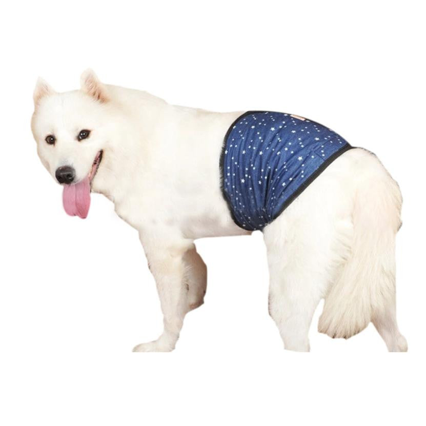 dog winter pants