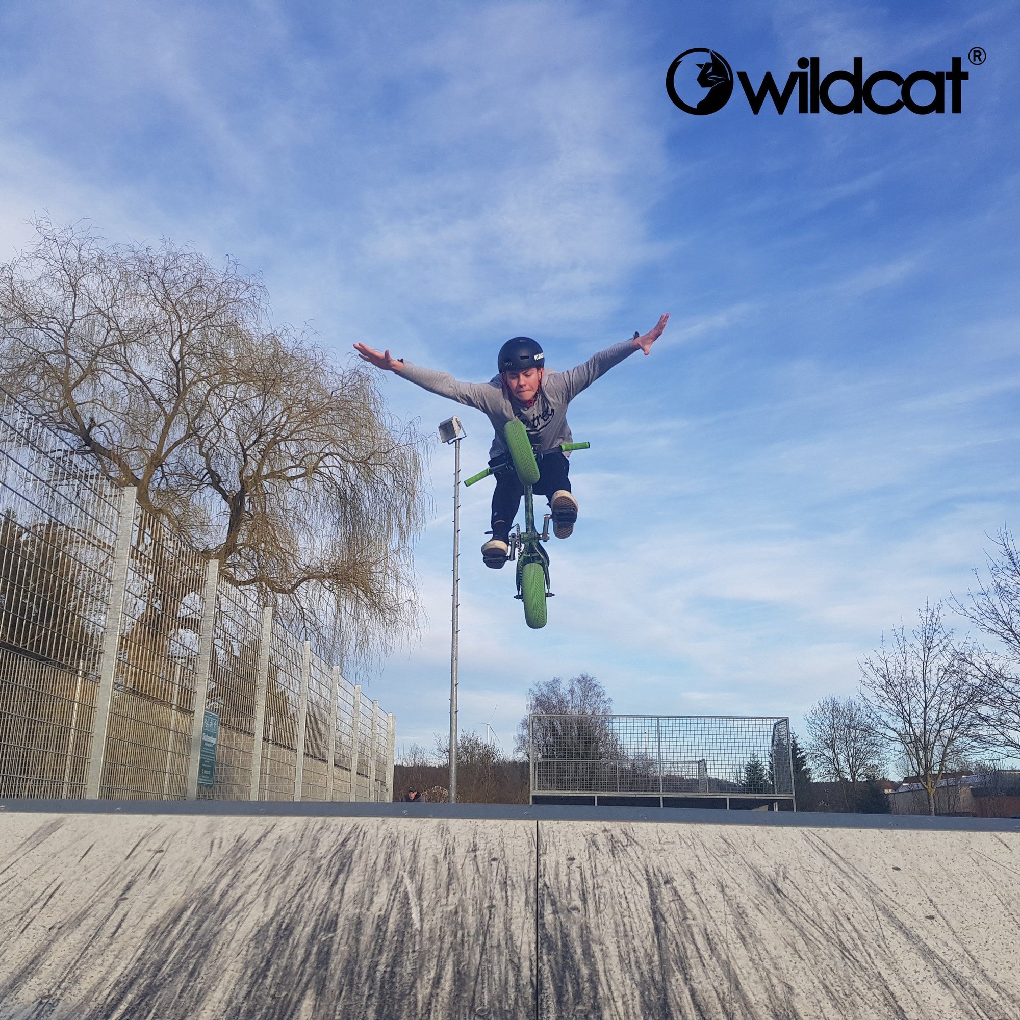 Wildcat Mini Bmx Tips And Tricks How To Do Stunts On Bmx Mini