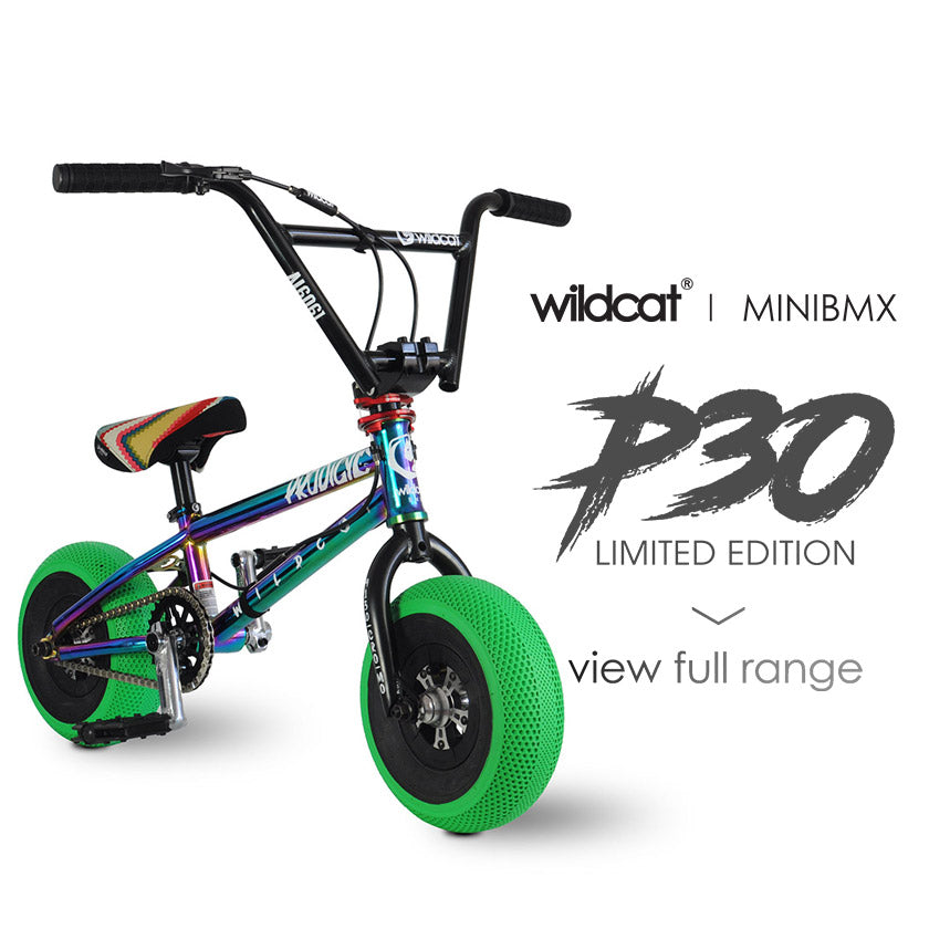 Con otras bandas Definir Calor Best Mini BMX in USA + Canada | Wildcat Mini BMX Bikes