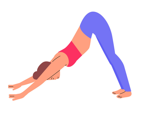 66fit Downward Facing Dog