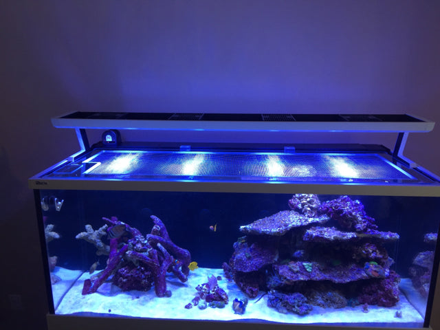 Red Sea ClearView Aquarium Lids – ClearView Lids