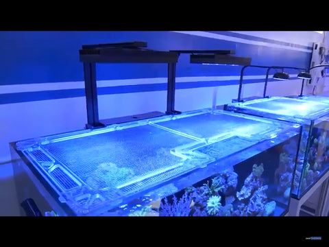 Fluval Evo 13.5 ClearView Lids