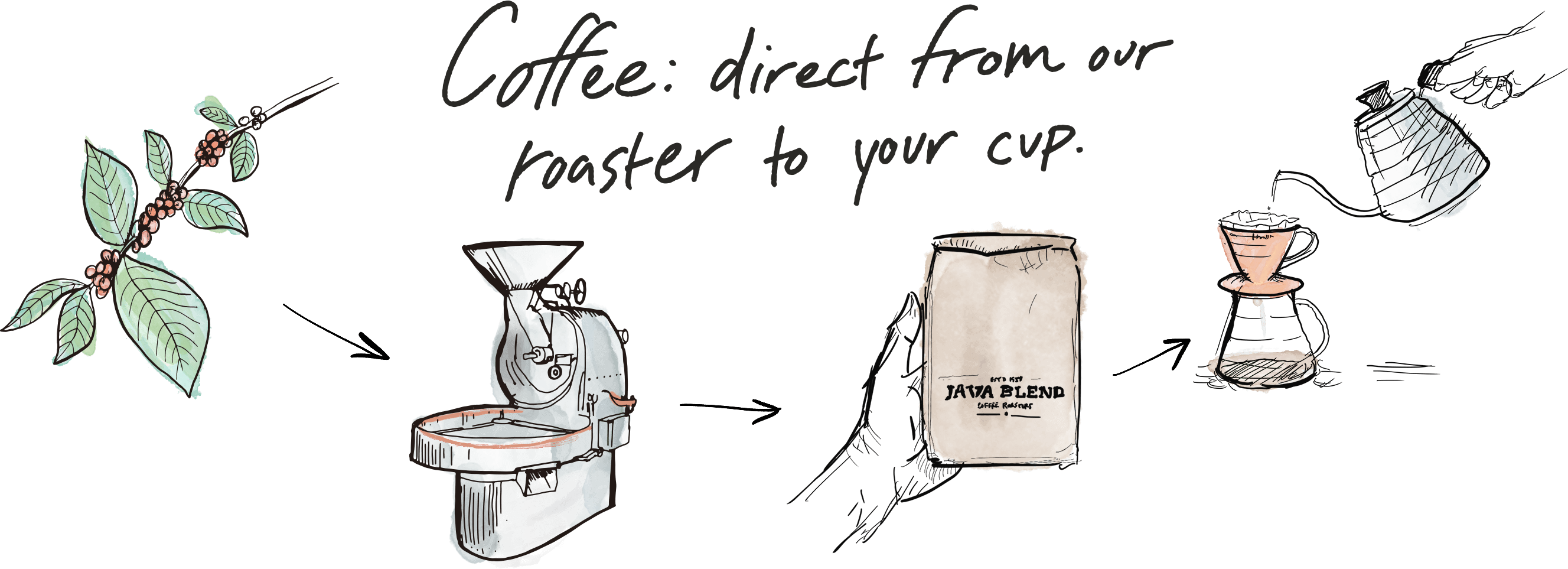un schéma du processus de préparation du café