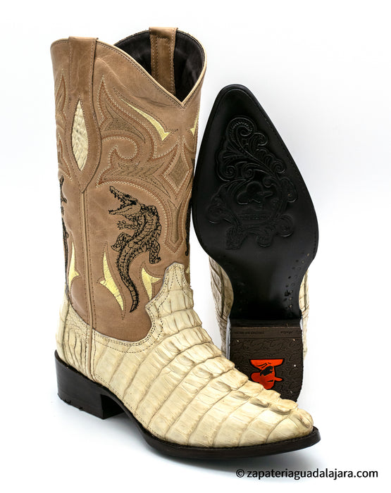 JB-906 CAIMAN TAIL BONE | Genuine Leather Cowboy Boots and Hats — Zapateria Guadalajara