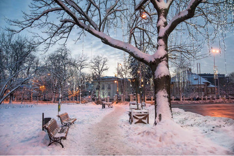 Langsam machen und die Winterlandschaft genießen