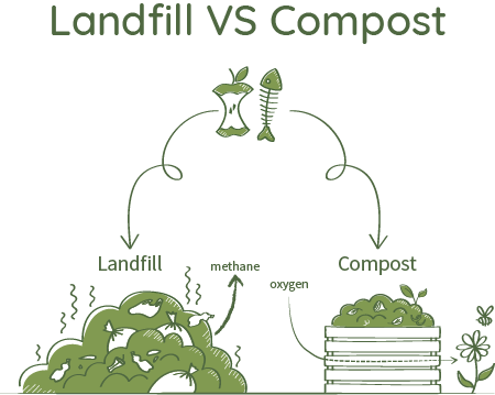 Bambaw_Zero-Waste-helping-Climate-Change-Landfill-vs-Compost