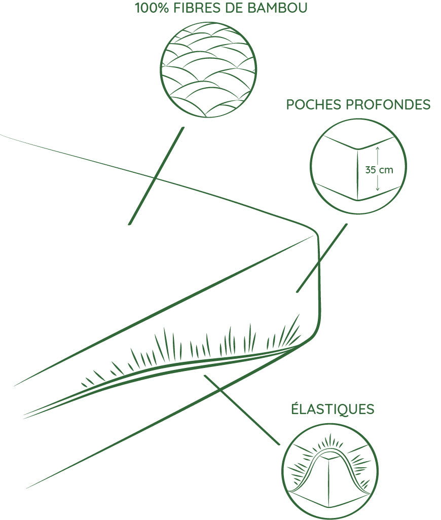 bambaw drap housse en bambou composition