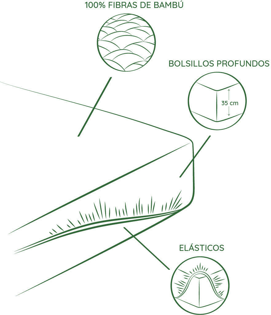 bambaw sabanas de bambu composicion