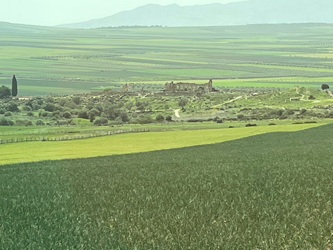 Ifrane_morocco_farmland_green_landscape