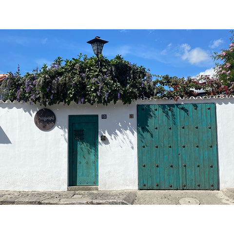 white-facade-green-doors