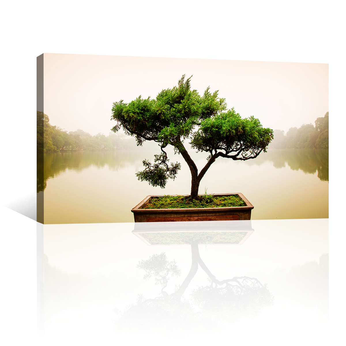 Arbol Bonsai Japones | Cuadros Decorativos Canvas Revolution