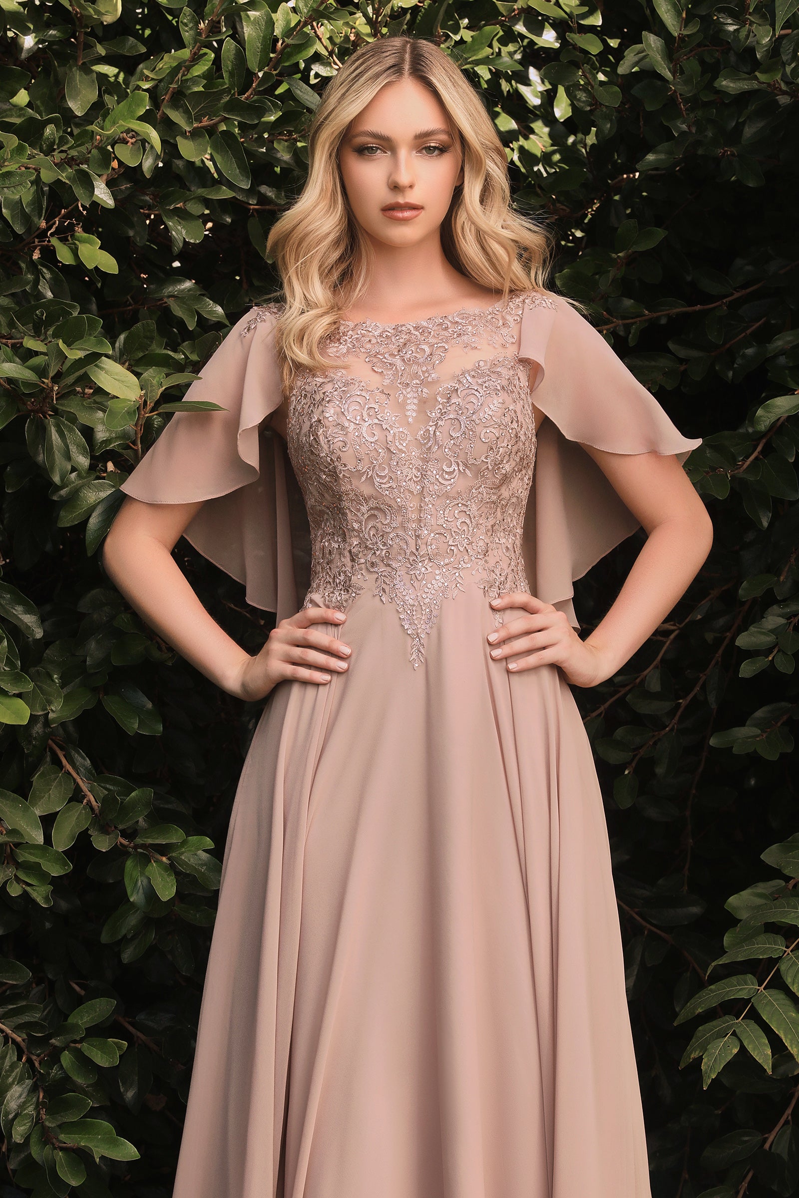 cinderella mother of the bride dresses