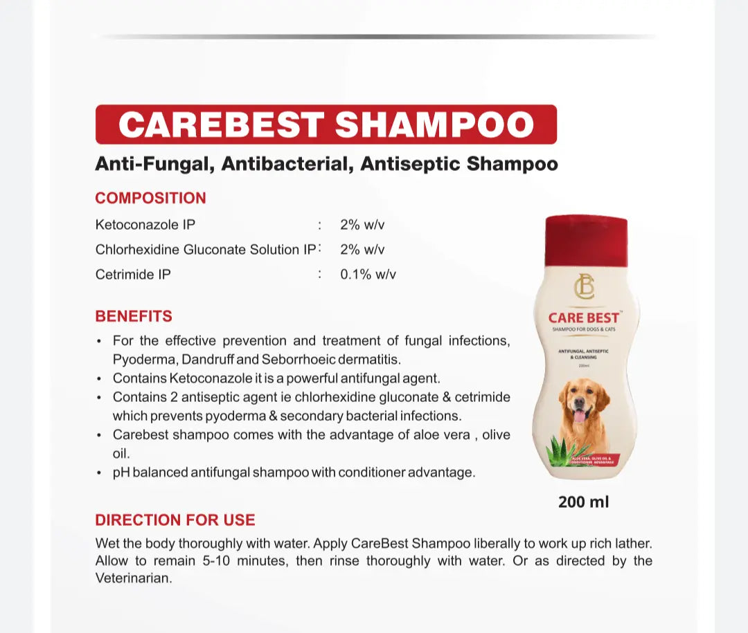 what is the best antifungal shampoo for dogs