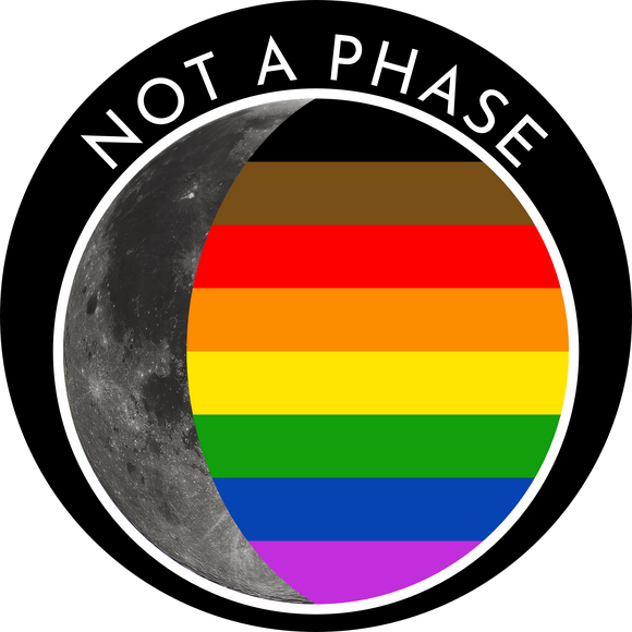 historic gay pride pin