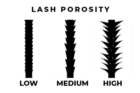 difference between low medium and high lash porosity
