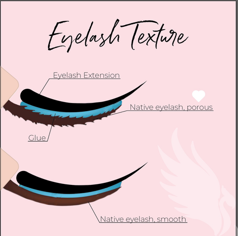 lash texture or lash porous comparison 