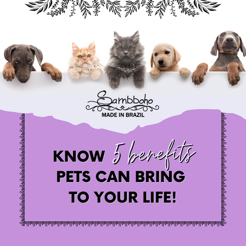 5 benefits pets can bring to your life