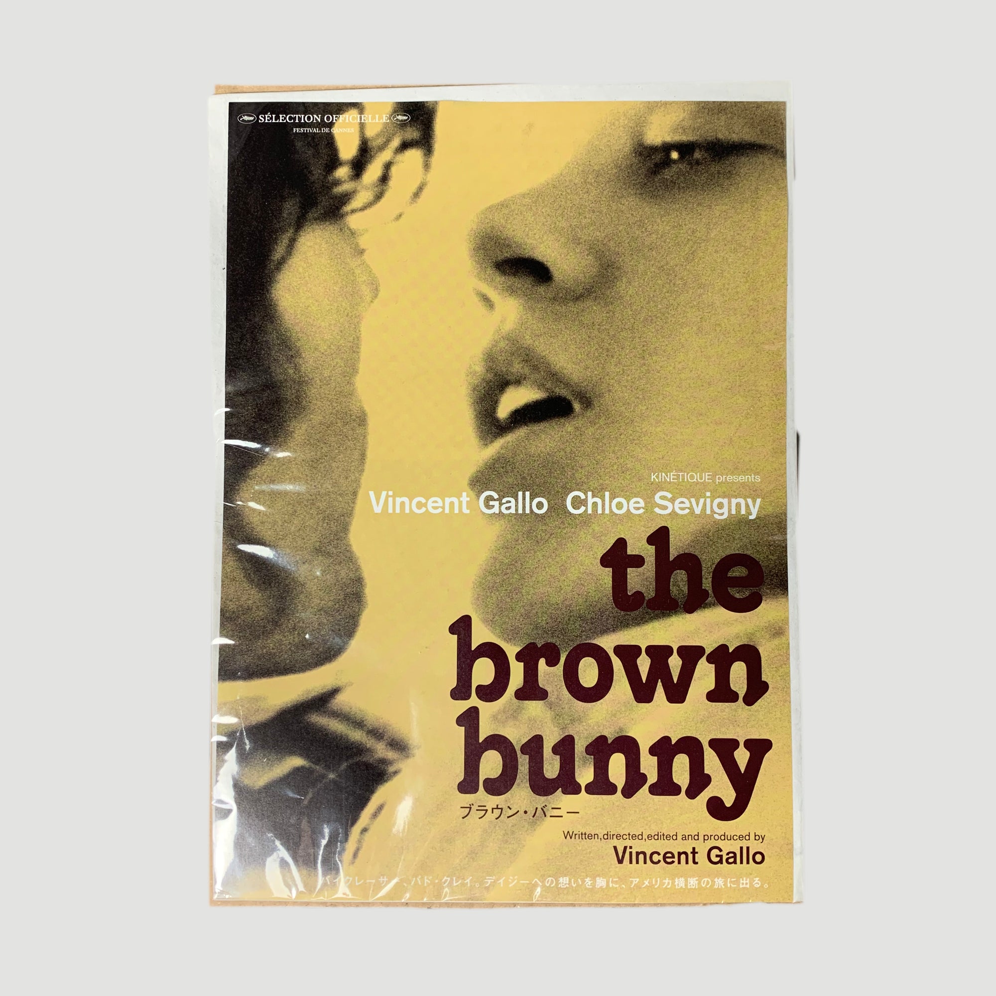 the brown bunny (2003)