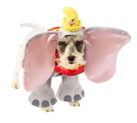 A costume that will bring out your dog’s floppy ears