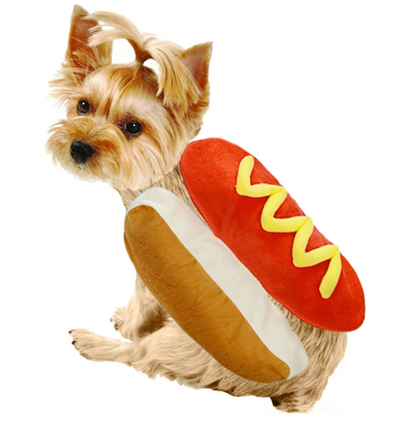 Hot Dog - The go-to costume if you have a wiener dog