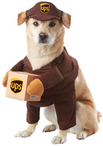 ups dog costume