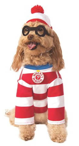 Where’s Waldo Costume