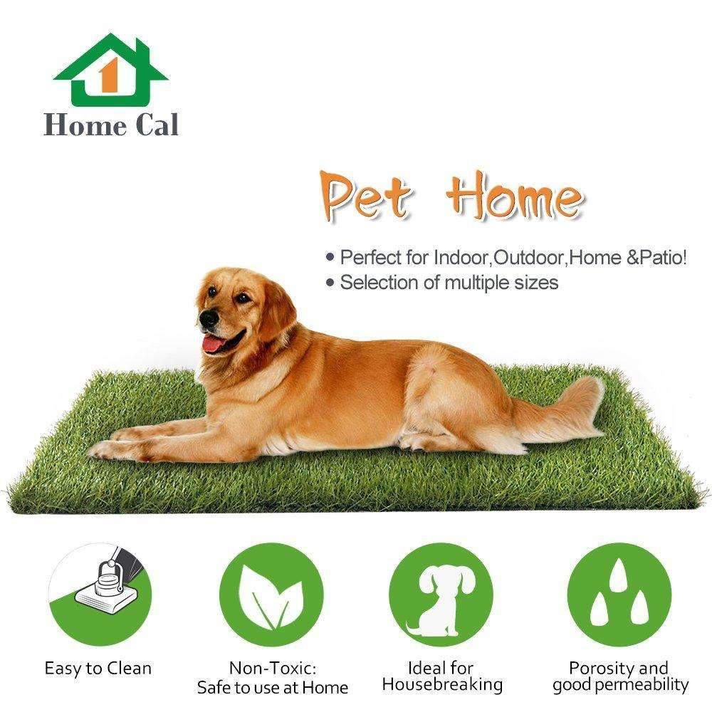 Artificial Grass Rug Pet Dog Area 3cm Autumn Grass Hgmart Com Mr