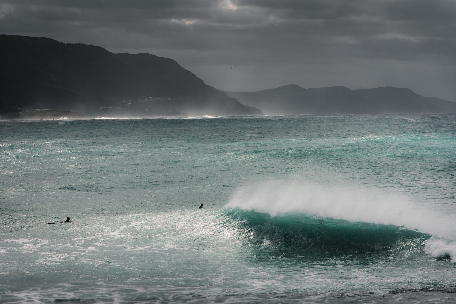 Big Waves Bash Wollongong Ocean Feels By Ben Mack