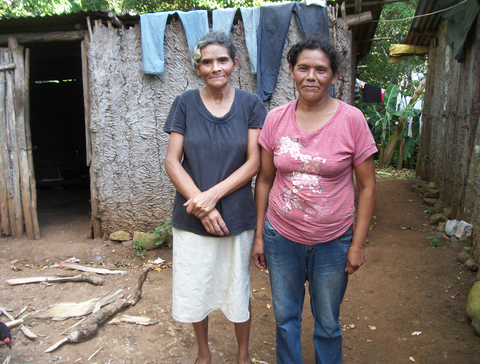 These sisters spend their days on the coffee plantations picking coffee cherries.