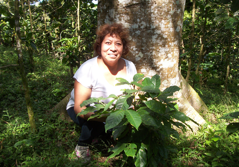 Elba with a young coffee tree in El Salvador.