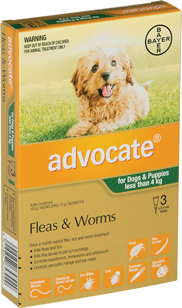 advocate for dogs for sale