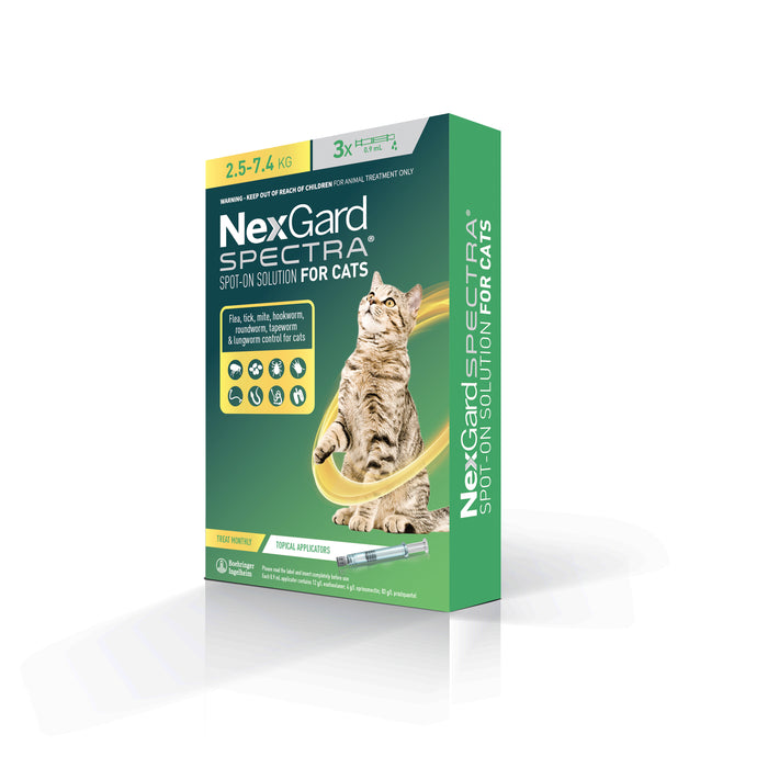 nexgard for cats and dogs