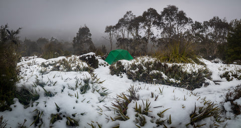 Dragonfly Tent by Geoff Murray