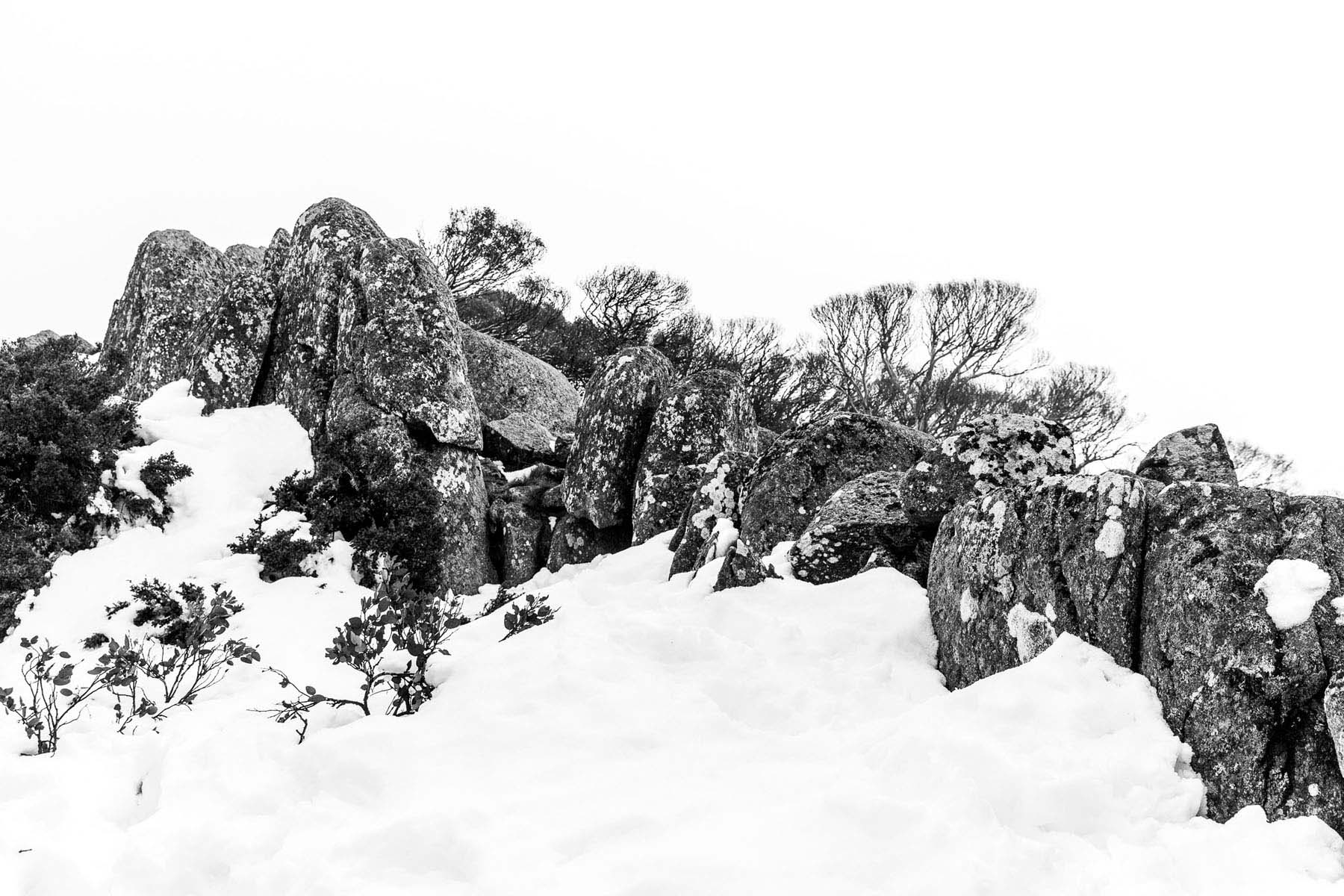 Snow covered Mt Gingera.