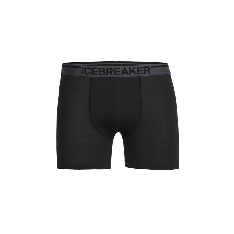 Icebreaker - Anatomica Briefs Men black at Sport Bittl Shop