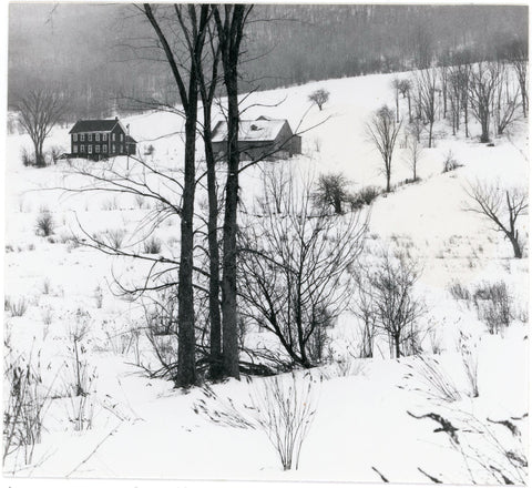 "House with Three Saplings", 1971, by Irene Fay