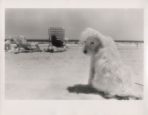 Lois at the Beach, Rockaway Beach, NYC, 1982, by Barbara Alper
