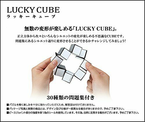 Hanayama Katsunou Brain Teaser Lucky Cube Otaku Shop Japan