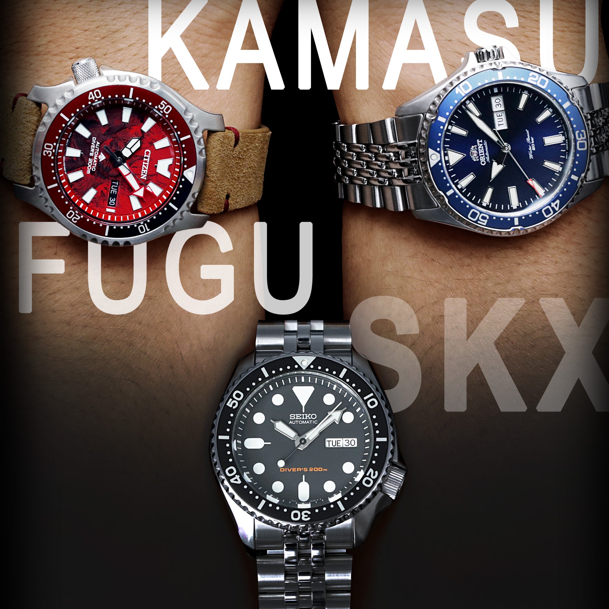 Seiko SKX Vs Citizen Vs Orient Kamasu, Budget-friendly Dive watches–  Strapcode