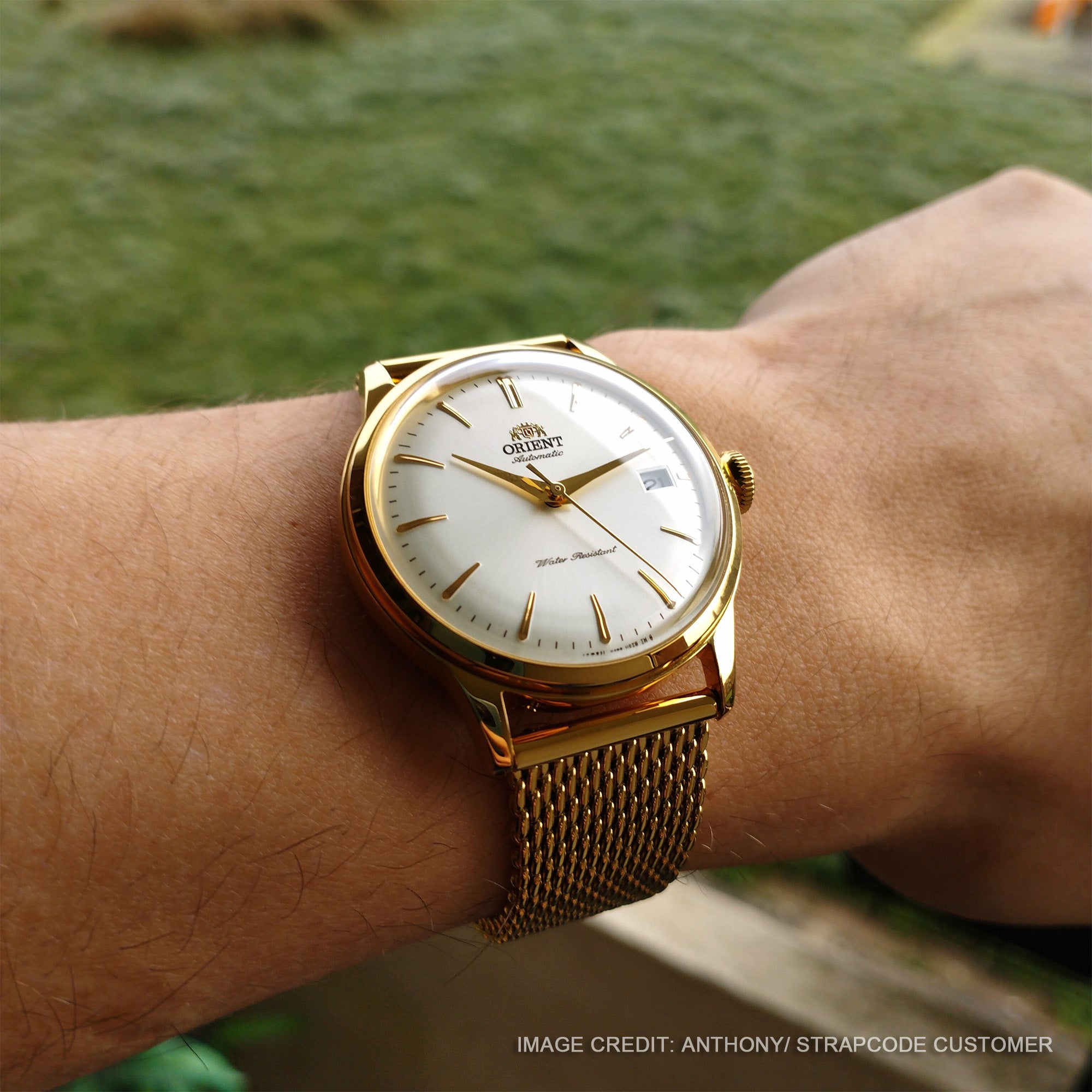 The Orient Bambino 38mm watch completmented by gold quick release tapered Milanese mesh watch band by Strapcode