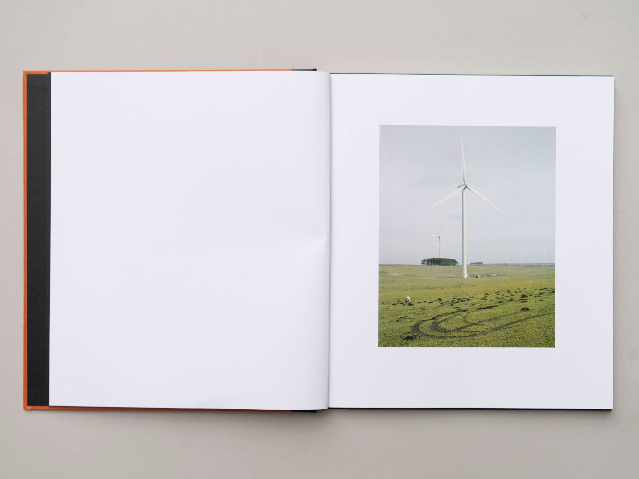 Bastard Countryside by Robin Friend – Citizen Editions