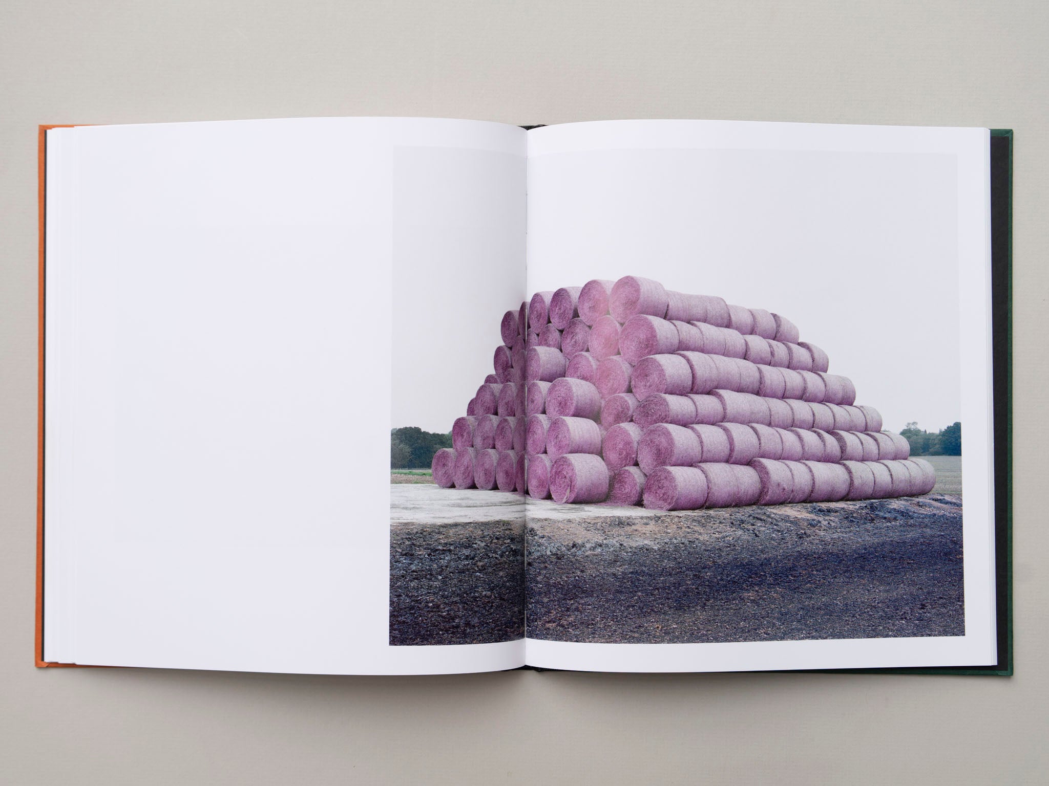 Bastard Countryside by Robin Friend – Citizen Editions