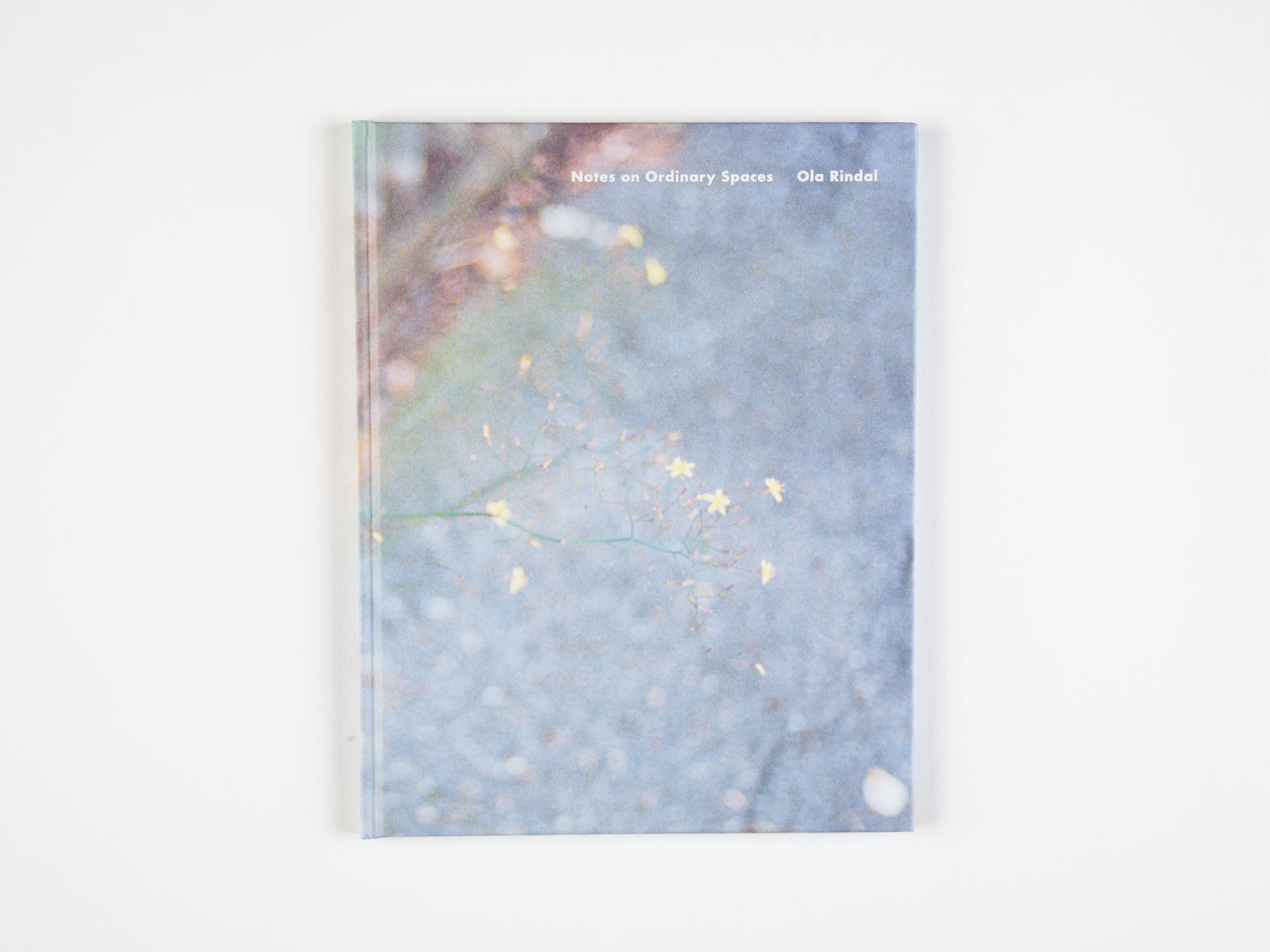 Notes on Ordinary Spaces by Ola Rindal