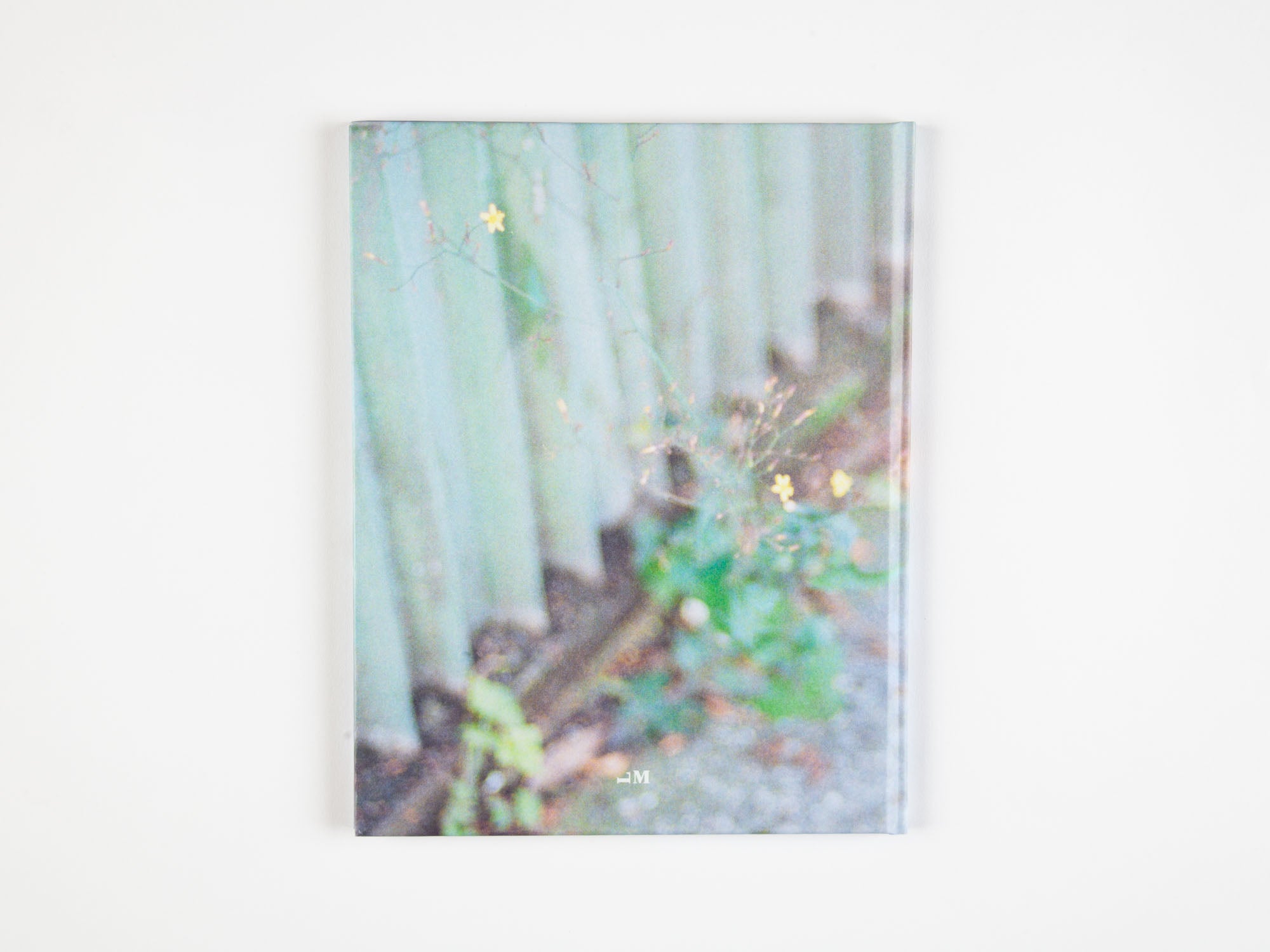 Notes on Ordinary Spaces by Ola Rindal – Citizen Editions