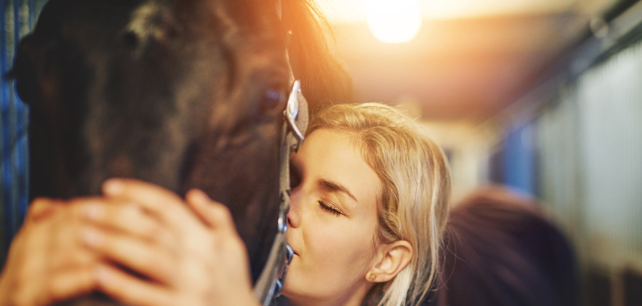 Cinq Raisons Pour Lesquelles Votre Cheval Vous Aimera Pour Passer Au F