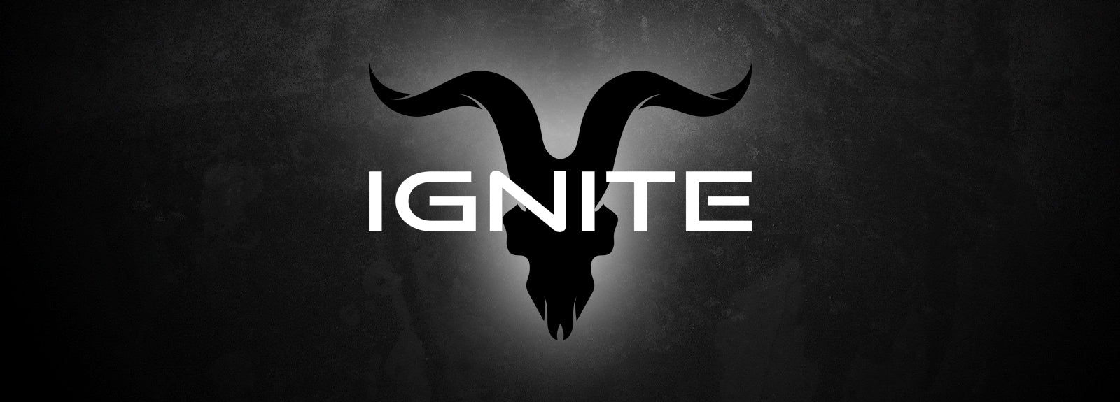 ignite media llc