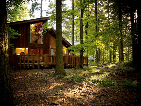 eco friendly holidays forest of dean